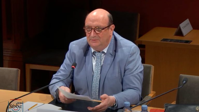 Jean-Marc SORNIN au Sénat