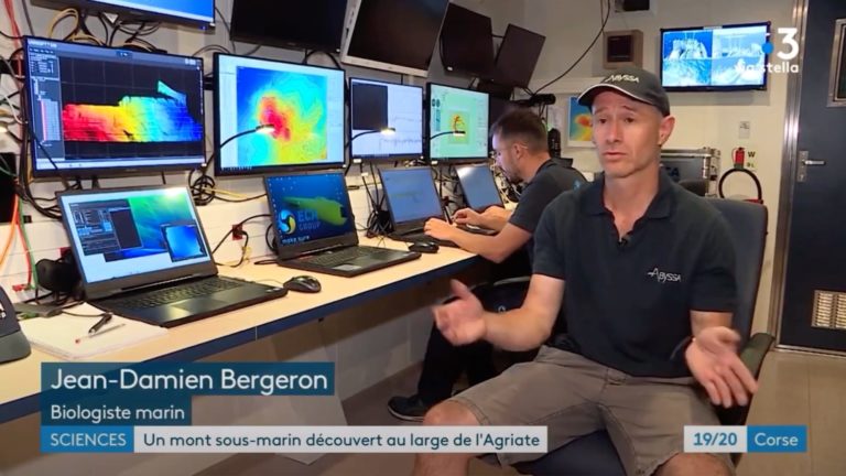 Seamonti - Jean-Marc Bergeron