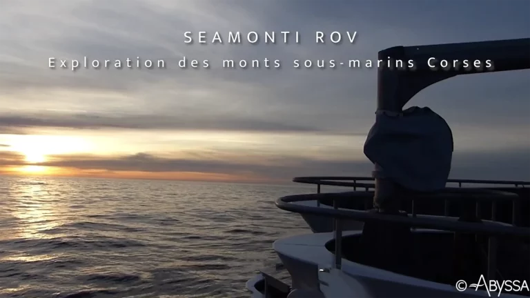 Seamonti 2023